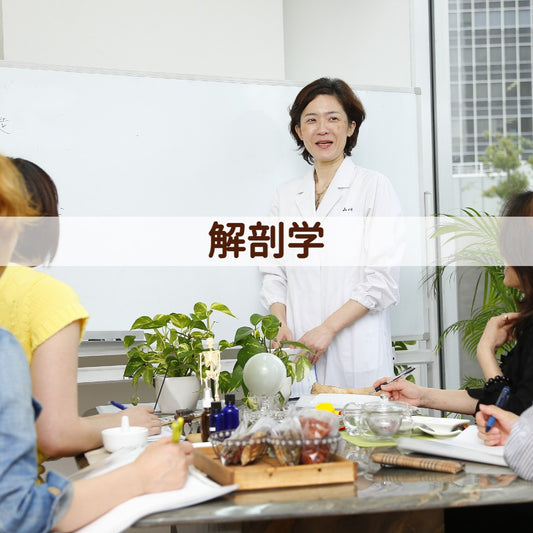 解剖学(ライブ配信授業)