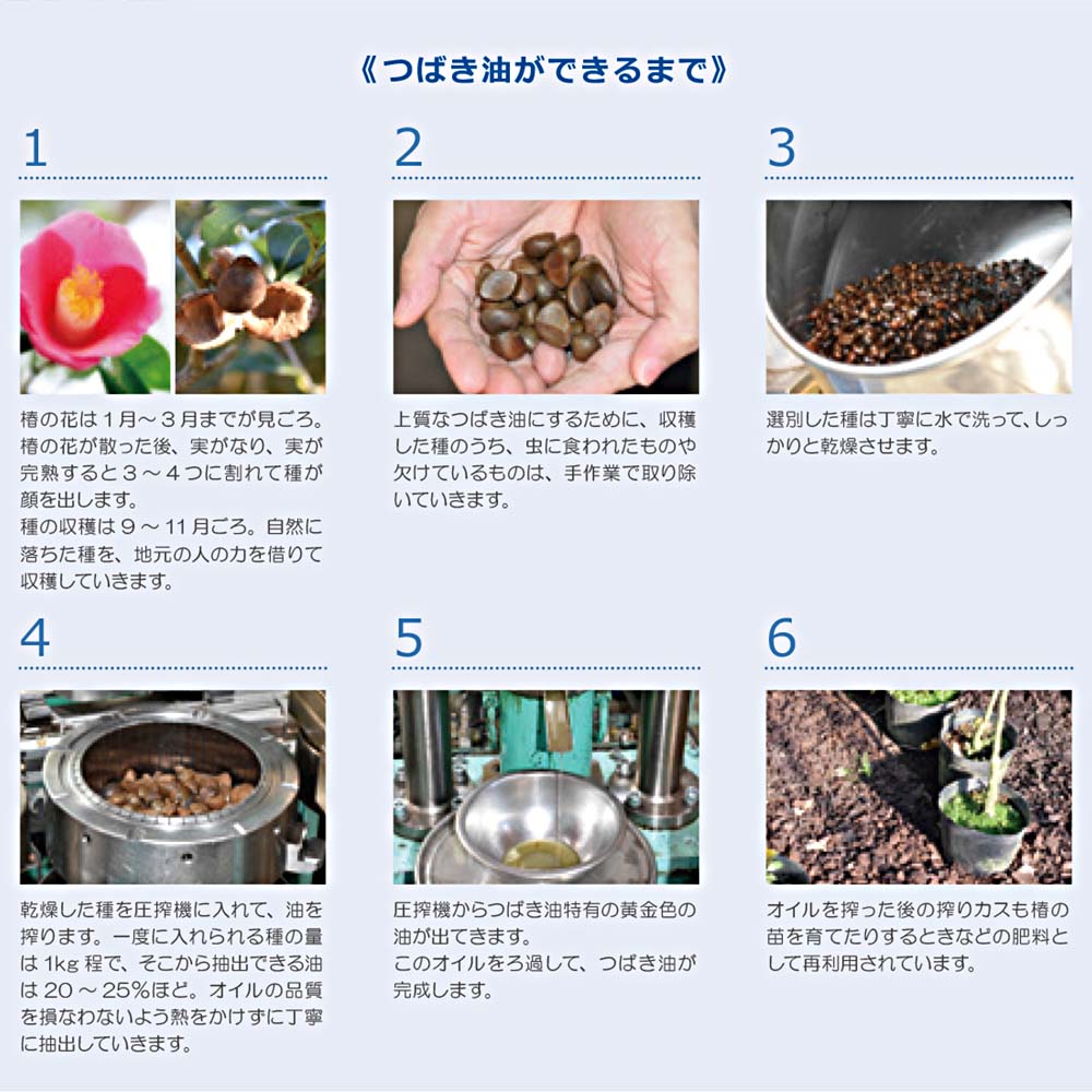 ☆伊豆つばき油