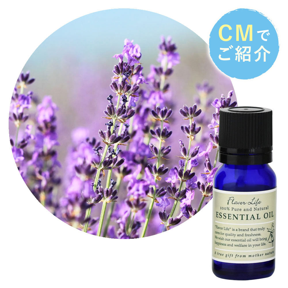 ラベンダー・フランス